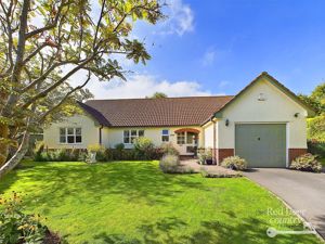 Front- click for photo gallery